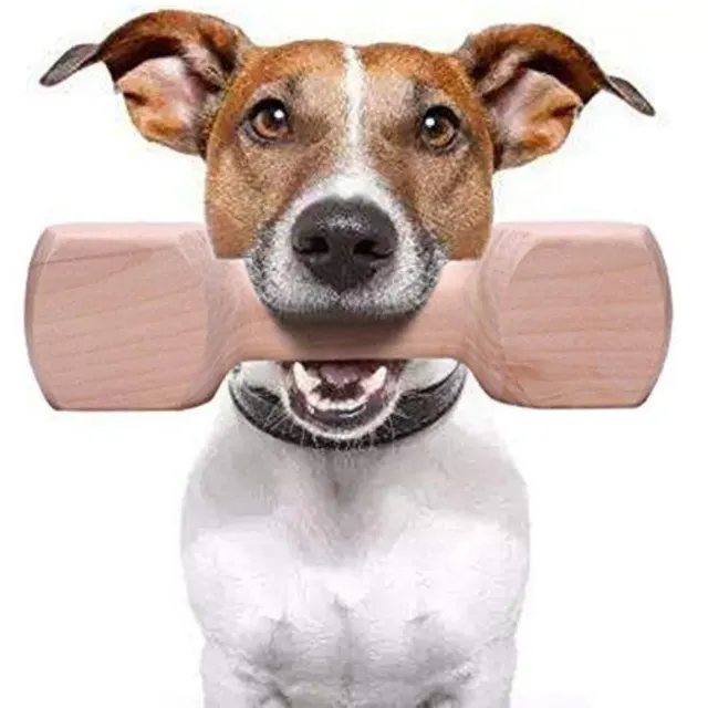 Dog Toy